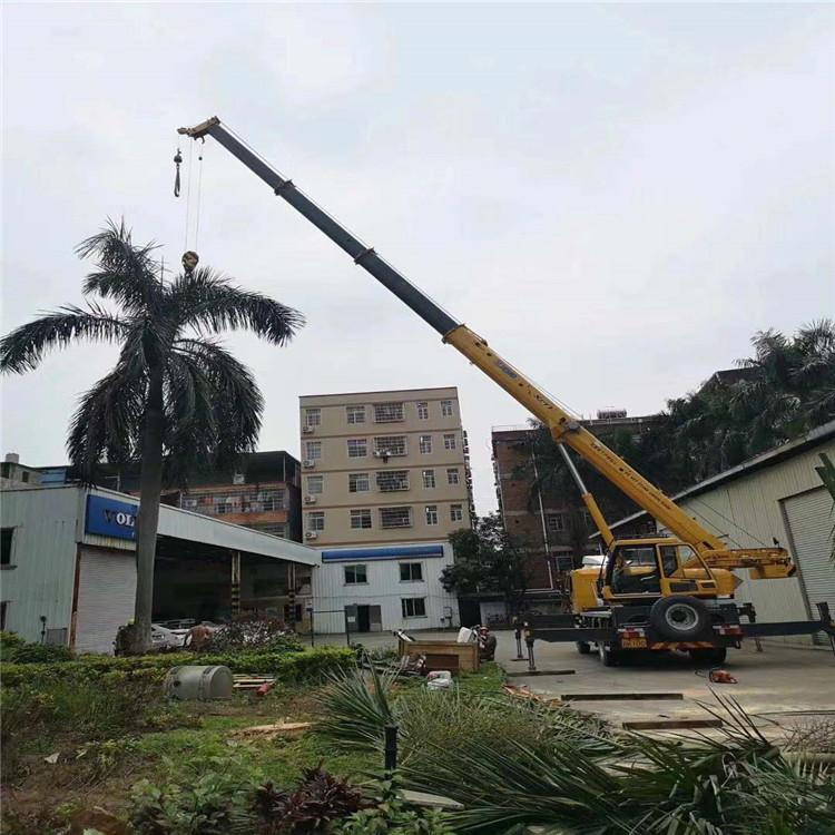 徐闻汽车吊出租多少钱？全面解析与市场行情